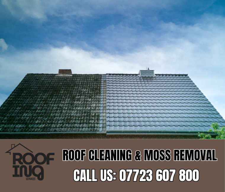 Roof cleaning and moss removal in Wadebridge